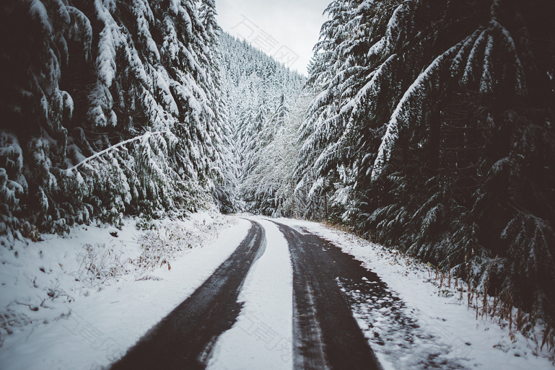 树中路带雪景照片