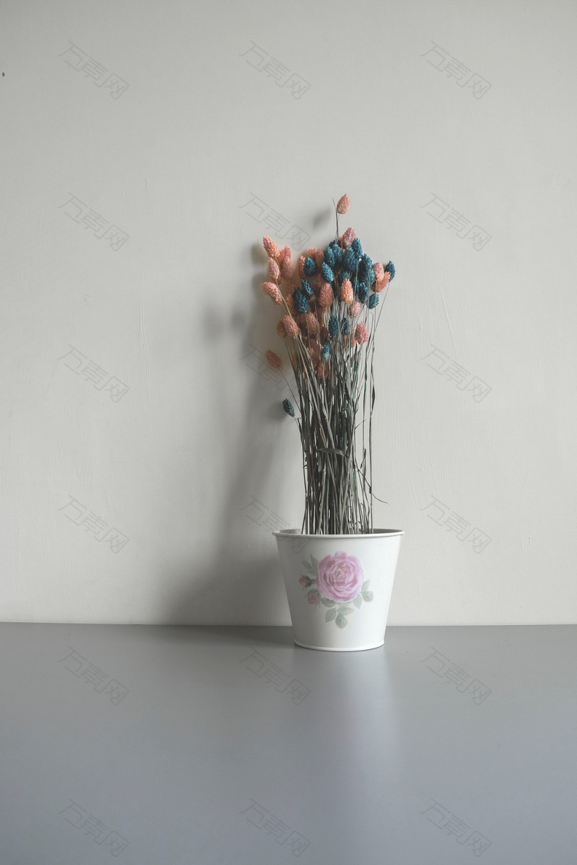 墙内白色盆栽粉红色和蓝色假花