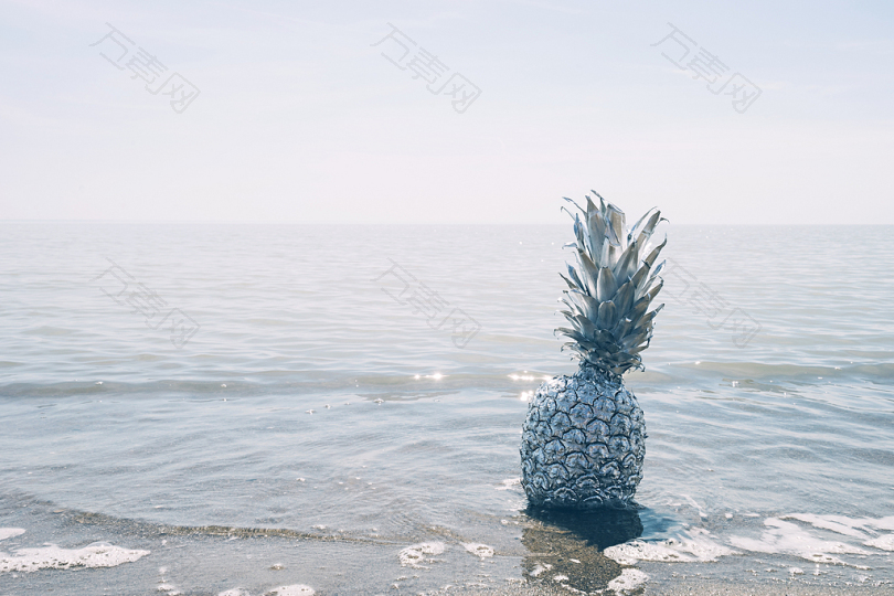 白天在海上的灰菠萝