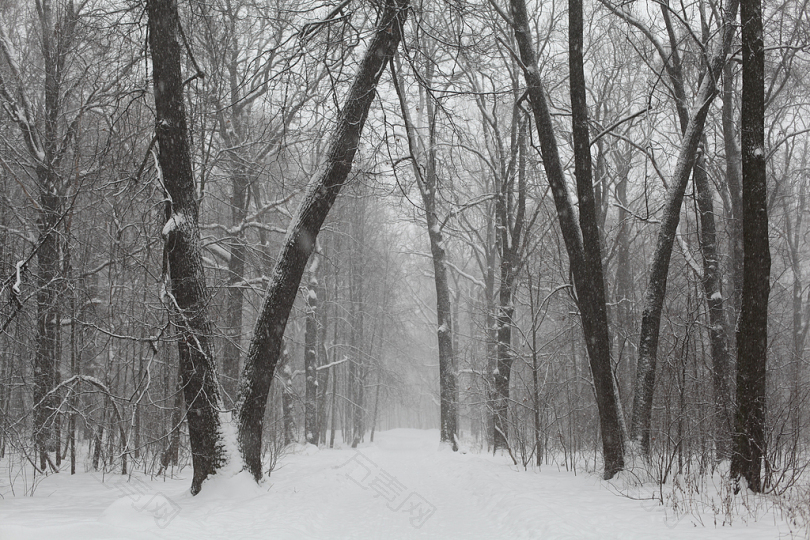 公园冬季俄罗斯城市公园冷雪森林弗罗斯特性质冬季道路