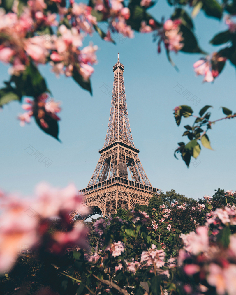 巴黎塔楼艾菲尔樱花花植物灌木柏树夏天图标地标框架粉色明亮天空法国蓝色城市景观颜色