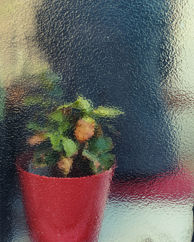 纹理窗纹理玻璃纹理窗口植物盆栽植物室内植物英语剑桥商店咖啡夏天花细节玻璃模糊蓝色黄色红色绿色