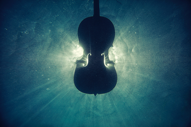 水下数码壁纸上的黑色小提琴