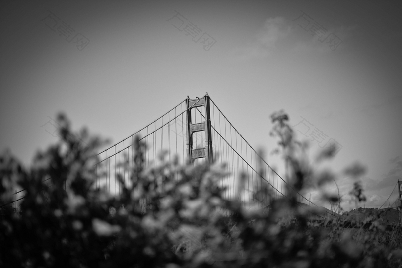 灰桥灰度照片