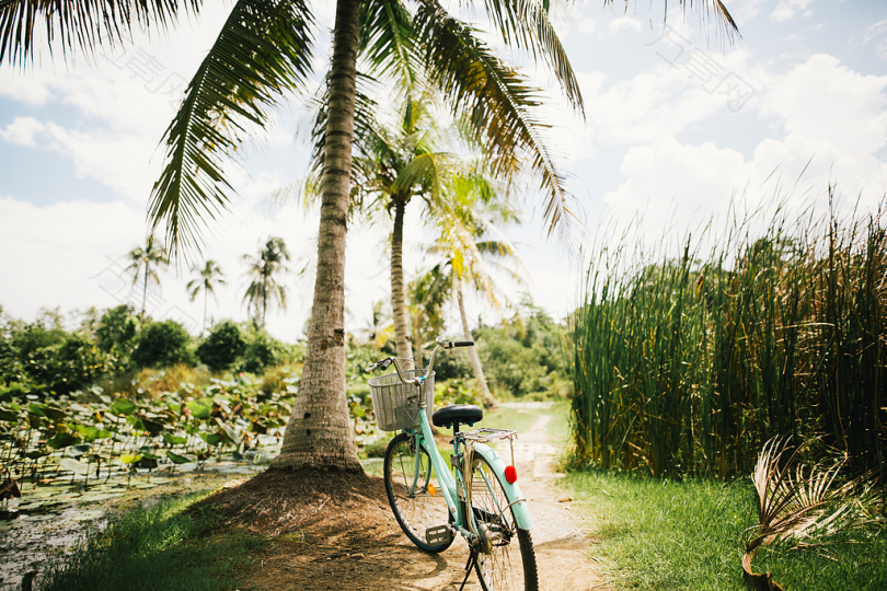 椰子树附近的蓝色海滩巡洋舰自行车
