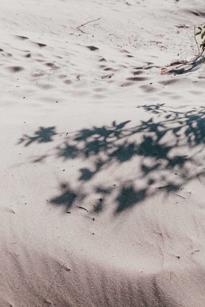 被灰沙环绕的树