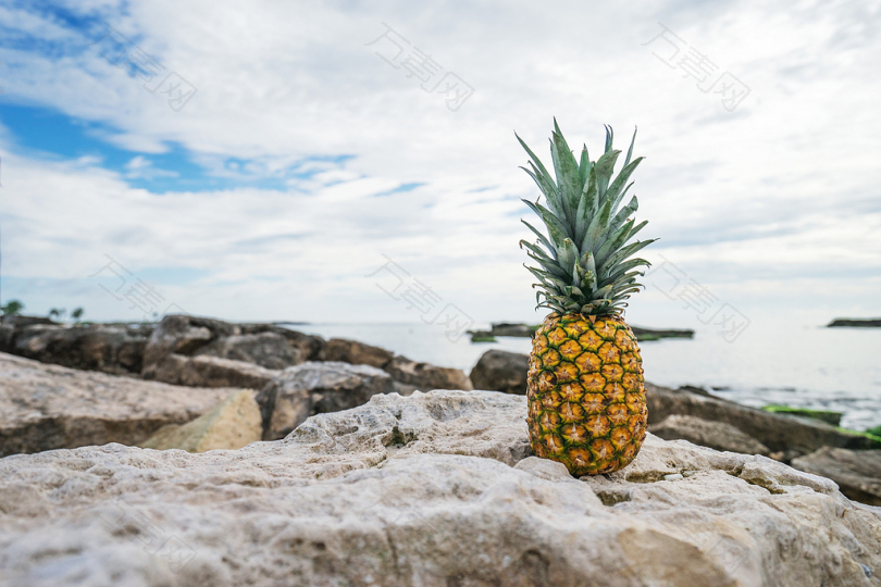 靠近水的石头上的菠萝
