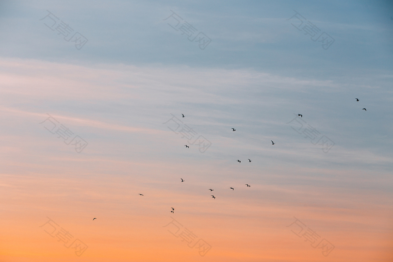 群鸟在蓝色和橙色的天空