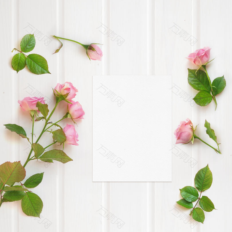 白色木面上的粉红玫瑰