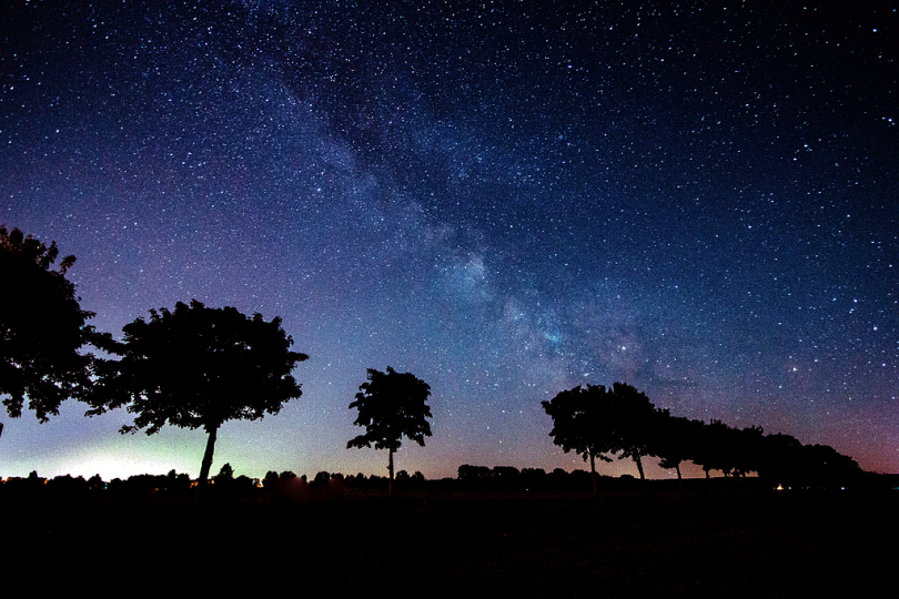 明星银河系树木影子剪影夜晚的天空繁星点点的天空天空傍晚的天空天文学空间