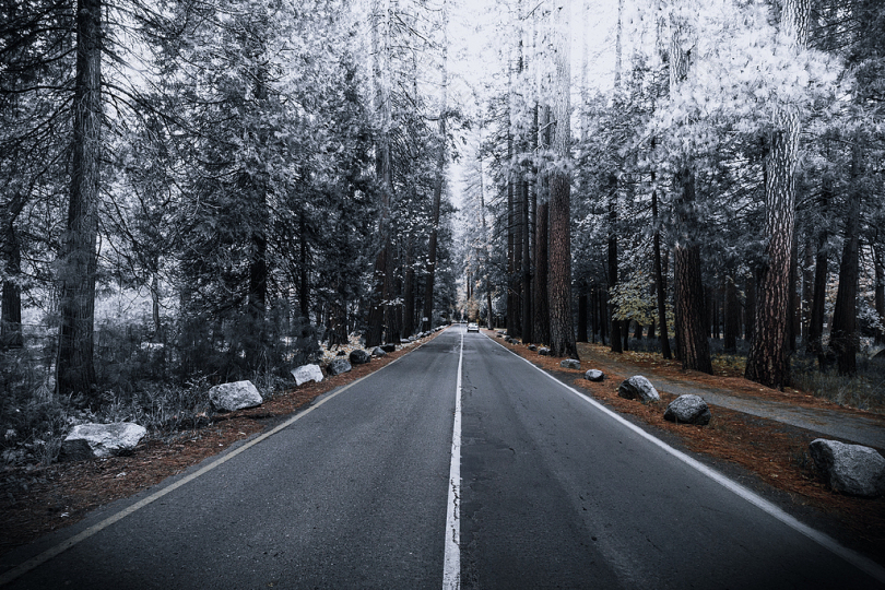 冬季森林中的公路