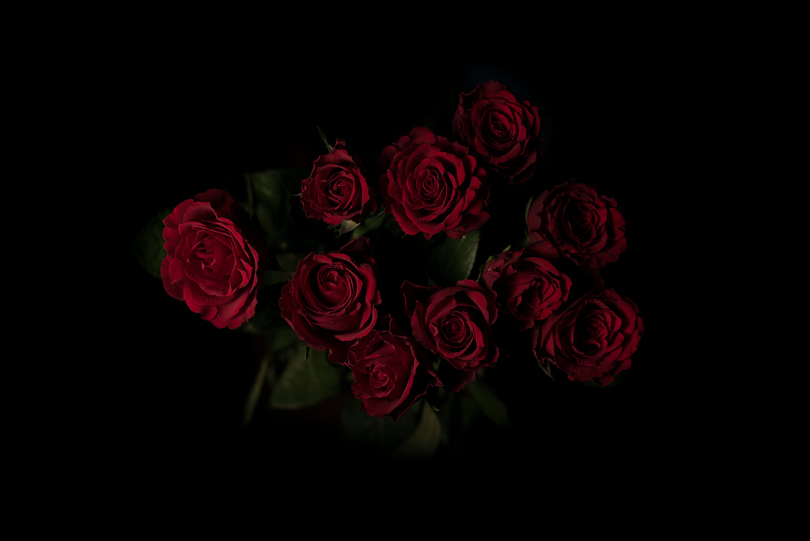 红玫瑰插花