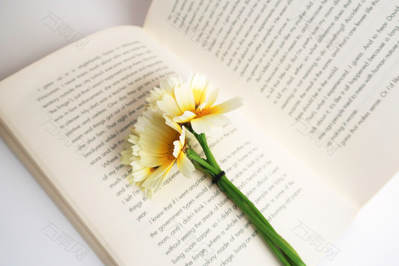 白色和黄色的花在白色的开着的书上