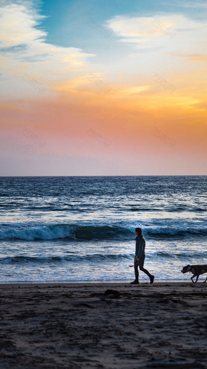 白天在海边散步的人和狗