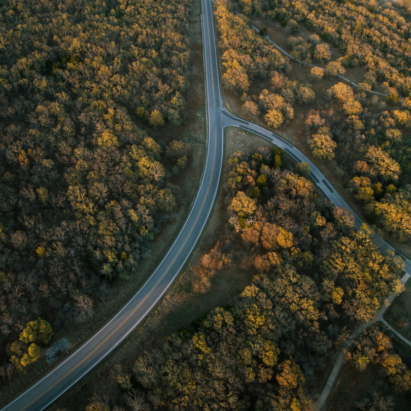 道路树木摄影