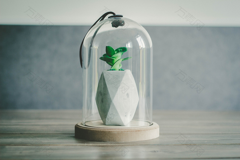 玻璃穹顶菠萝工艺品的选择性聚焦摄影