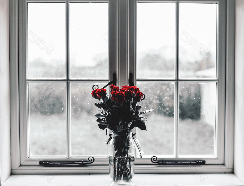 透明玻璃瓶装红玫瑰的选择性彩色摄影
