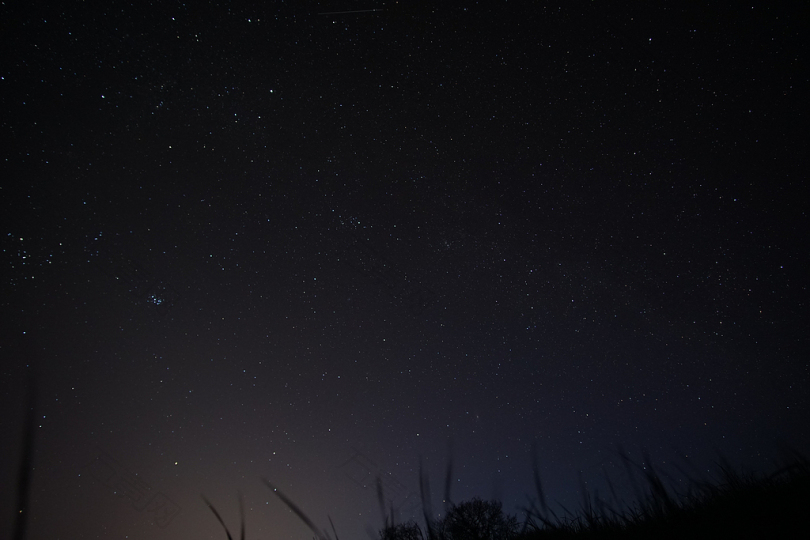 夜间星下草的低角度摄影