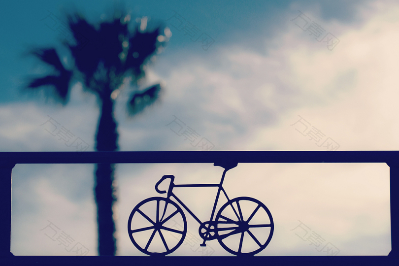 抽象自行车模糊特写云椰子树颜色重点图形插图光户外棕榈树侧影