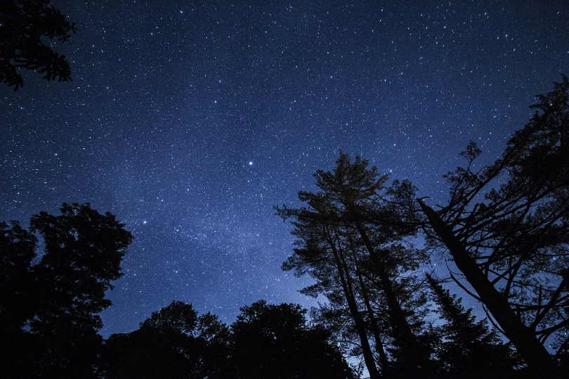 夜间树木和天空的照片