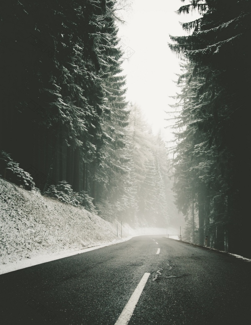 雪巷道路冬天车道有雾上午冬季驾驶雾朦胧霾悲观白冒险