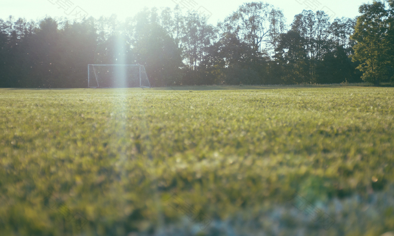 高大林区草坪上足球守门员的蠕虫观