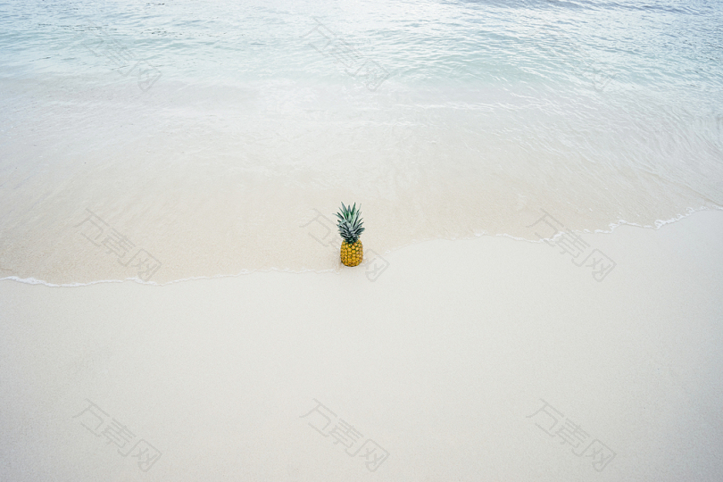 白沙滩上的菠萝