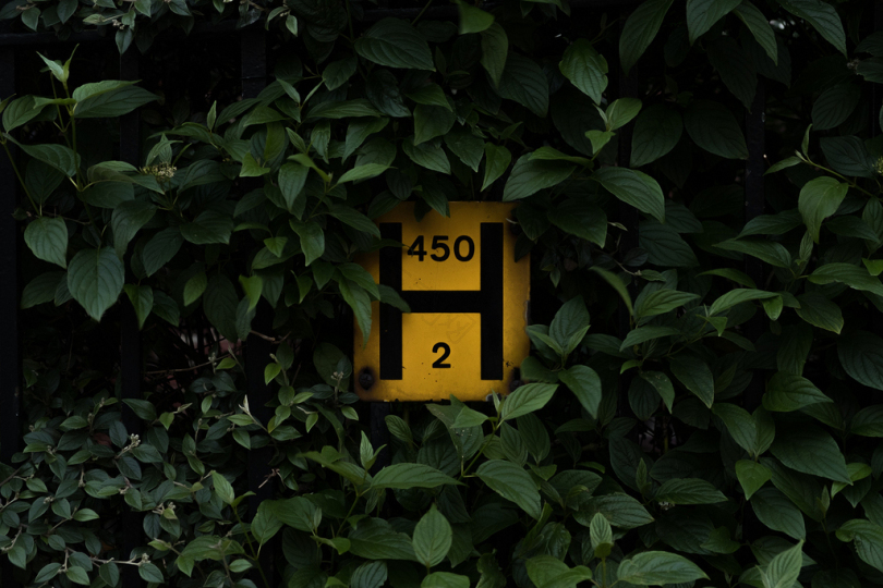 黄色和红色H4502标志被树叶包围