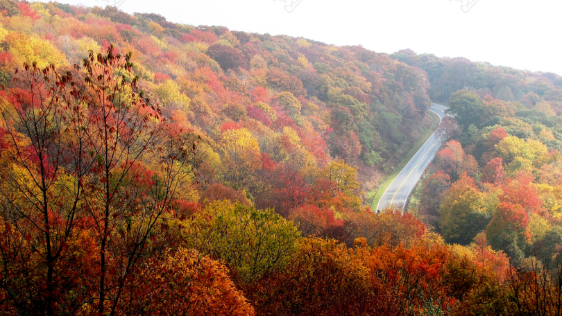 山秋天秋旅行北卡罗莱纳州卡罗来纳州景观户外自然森林路宁静现场