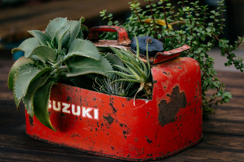 红铃木油罐罐绿叶植物特写照片