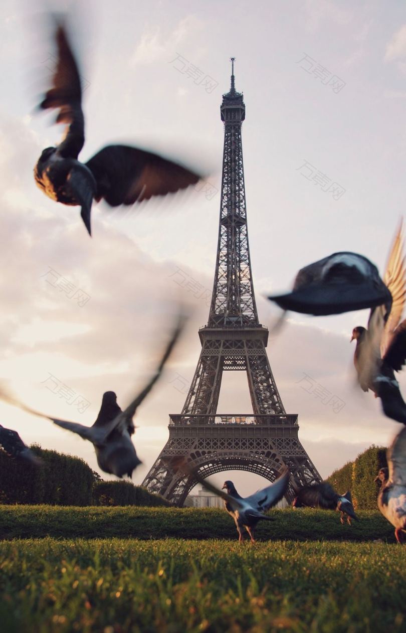 巴黎埃菲尔铁塔上空飞鸽