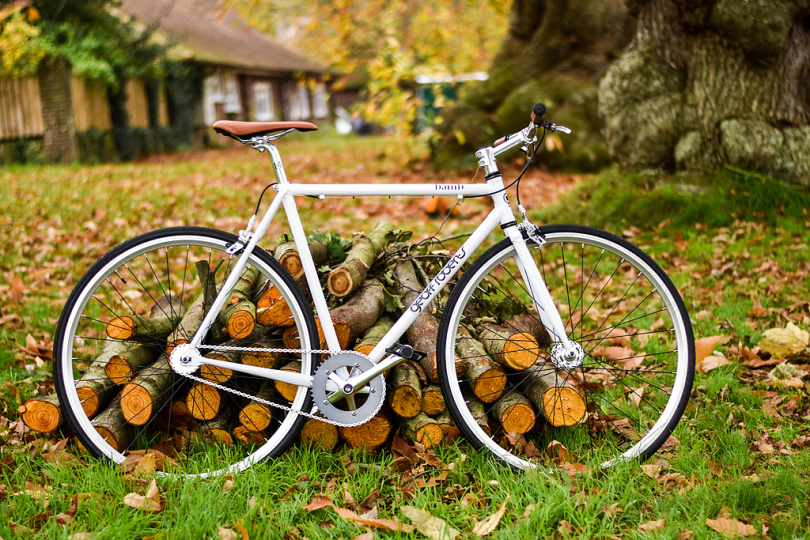 白色固定齿轮自行车风景摄影