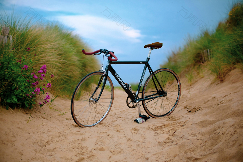 棕色沙滩上的黑色皮尔森公路自行车