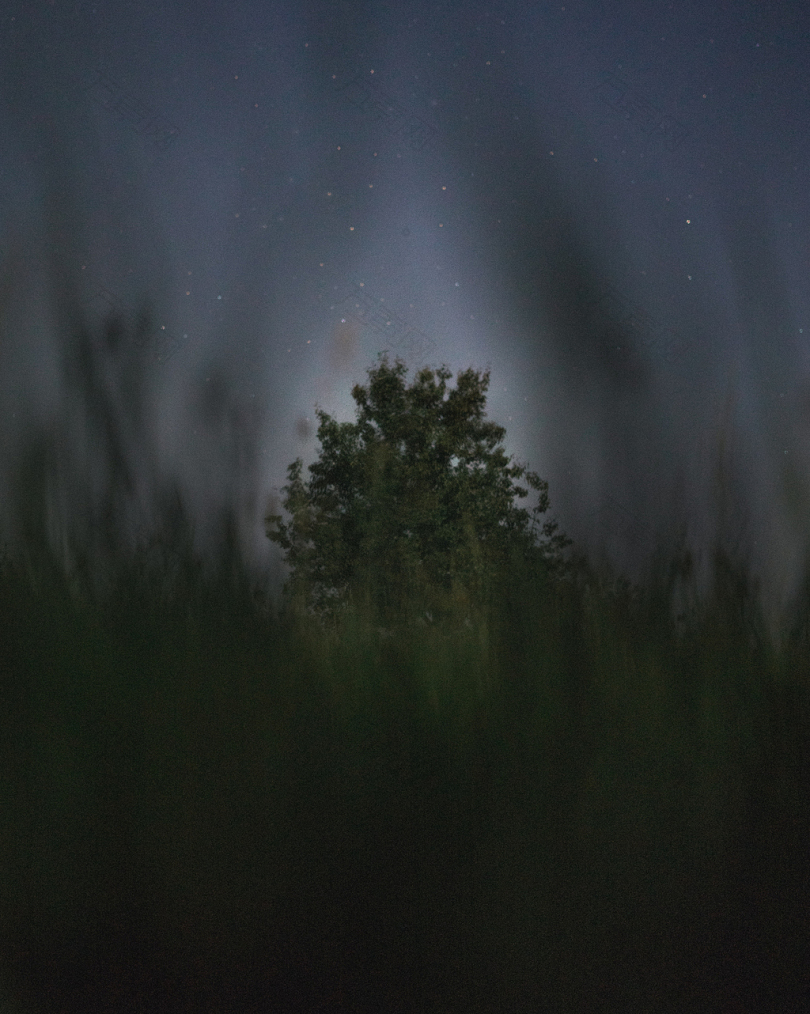 夜下灰云下的绿树