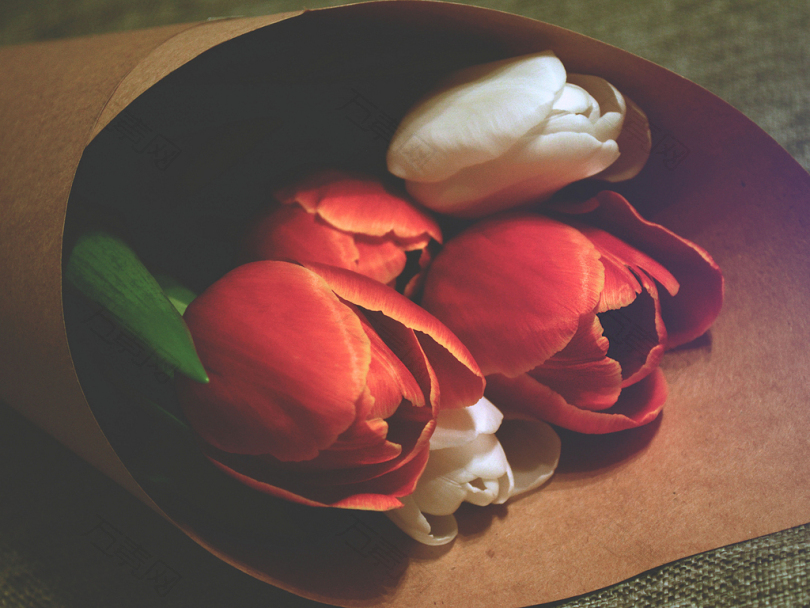 红白郁金香花束