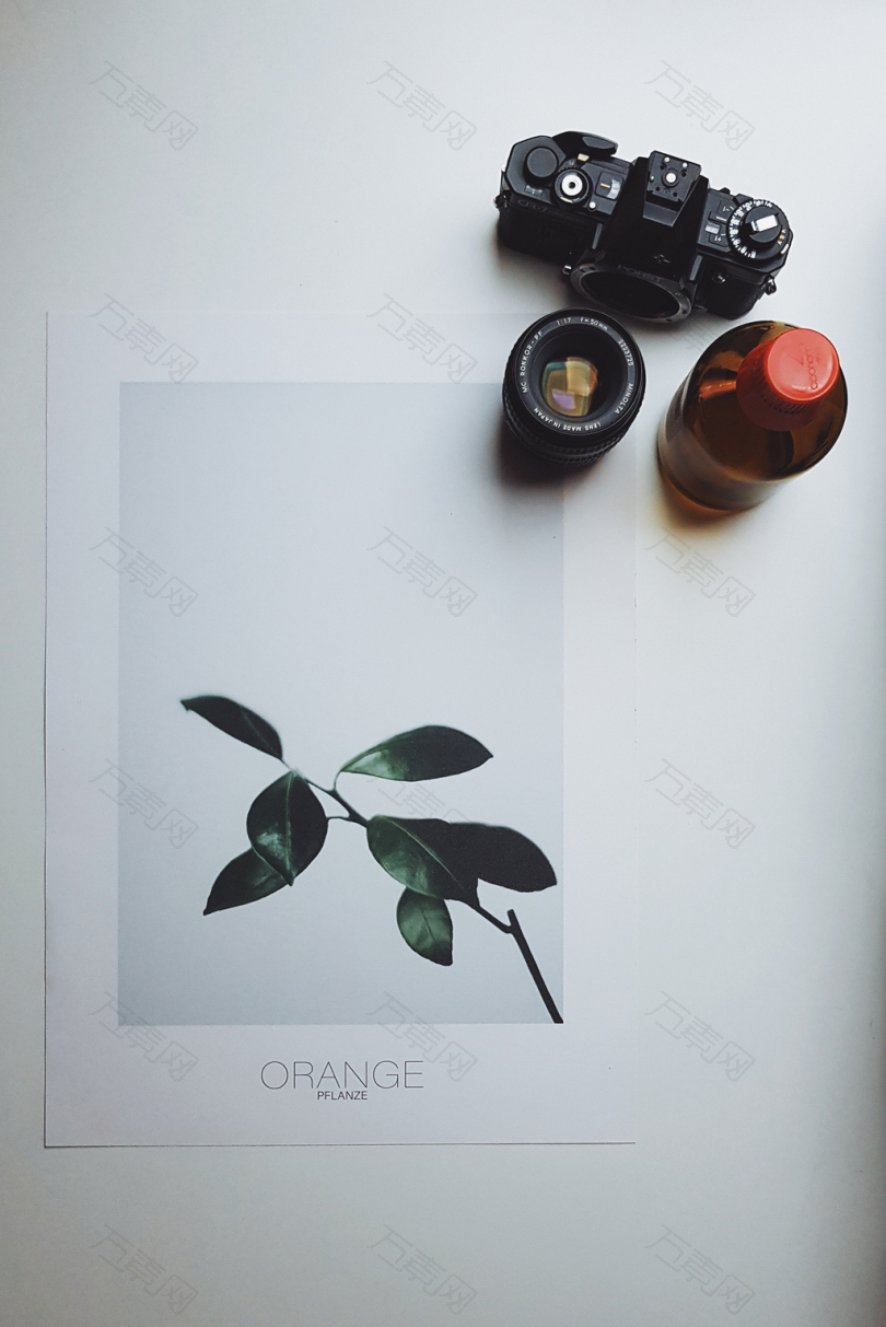 照相机照片图片倒装镜头瓶子酒精白色橙色柯达胶卷摄影35mm胶卷模拟静物俯视图植物