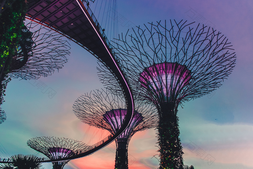 新加坡海湾花园图片
