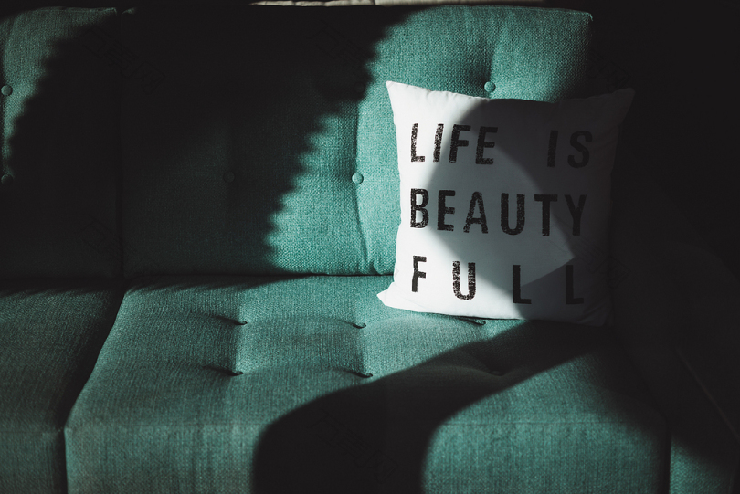 白色和黑色的生活是美丽的扔在沙发上的枕头