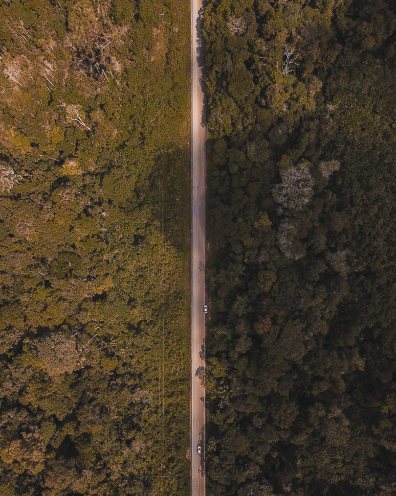 森林中线直线航道摄影