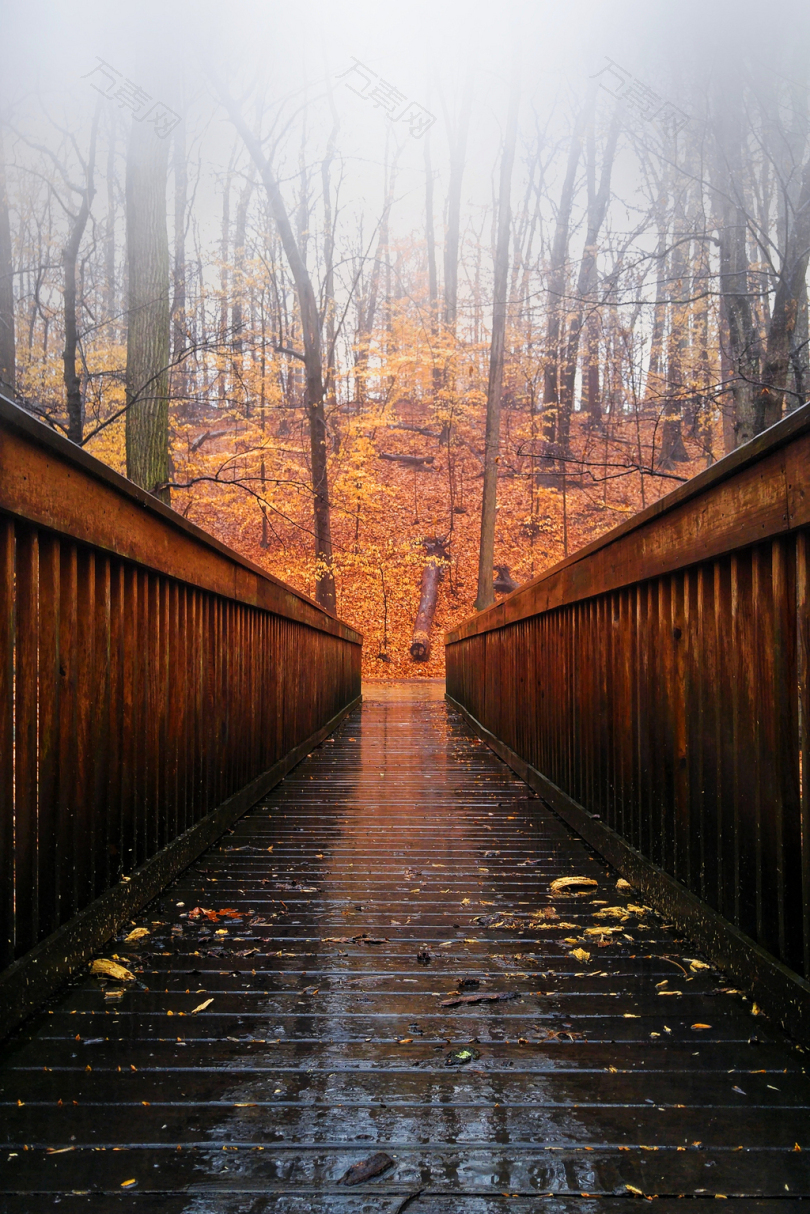 秋天褐木桥