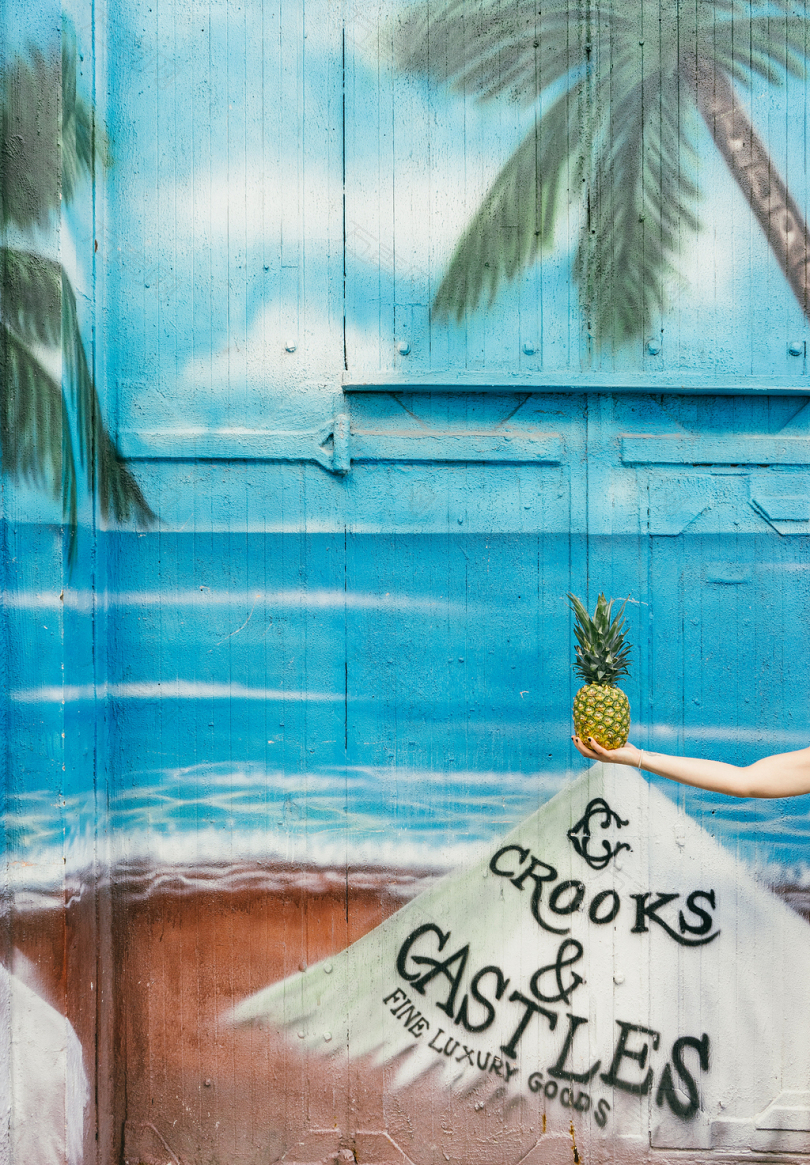 海滩上的一幅菠萝壁画