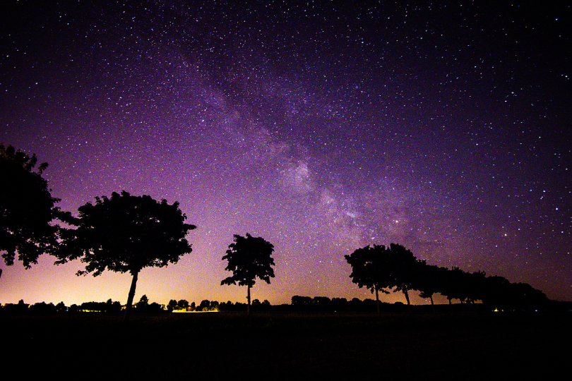 明星银河系树木影子剪影夜晚的天空繁星点点的天空天空傍晚的天空天文学空间
