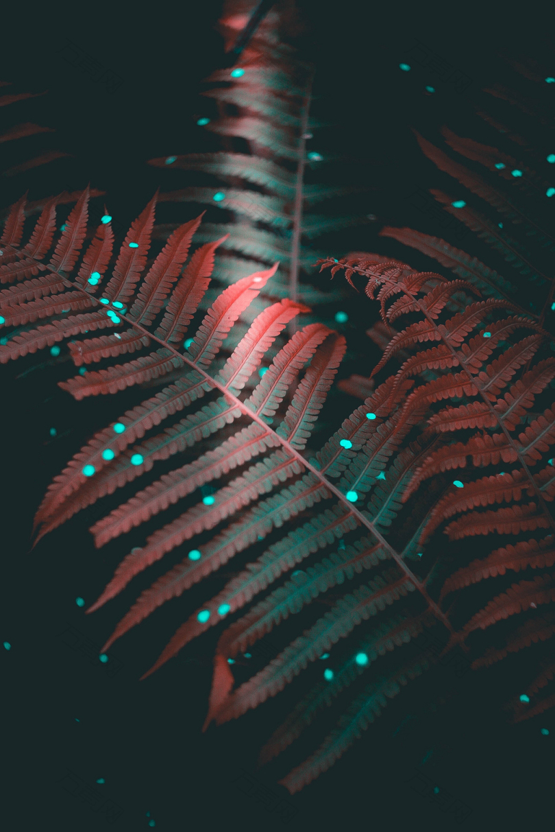 红色LED灯对绿色蕨类植物的近景摄影