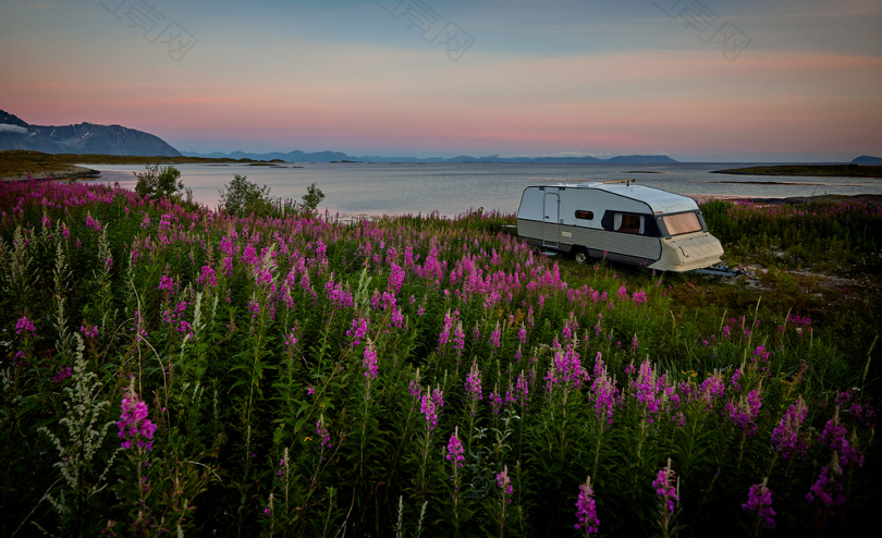 白色和褐色的RV拖车靠近水和粉红色的花朵
