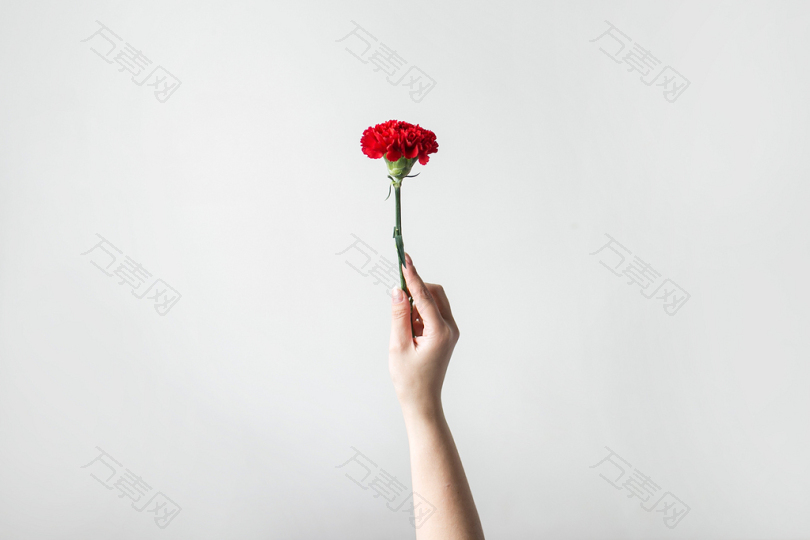 右手握花