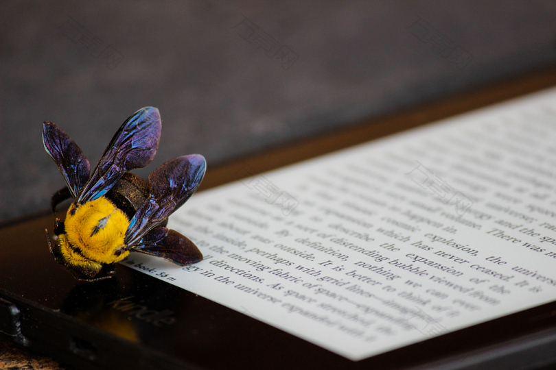 Kindle电子书阅读器上的黄色和紫色熊蜂