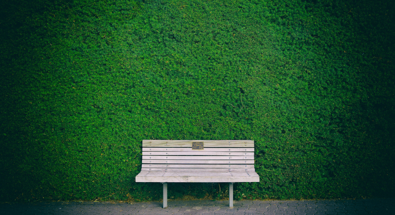 绿墙旁空白木长凳