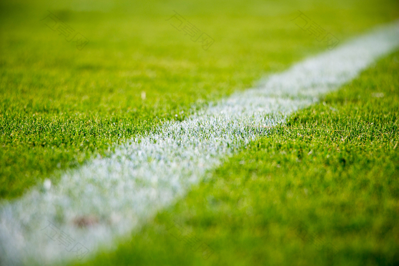 足球场绿草地上的白线特写