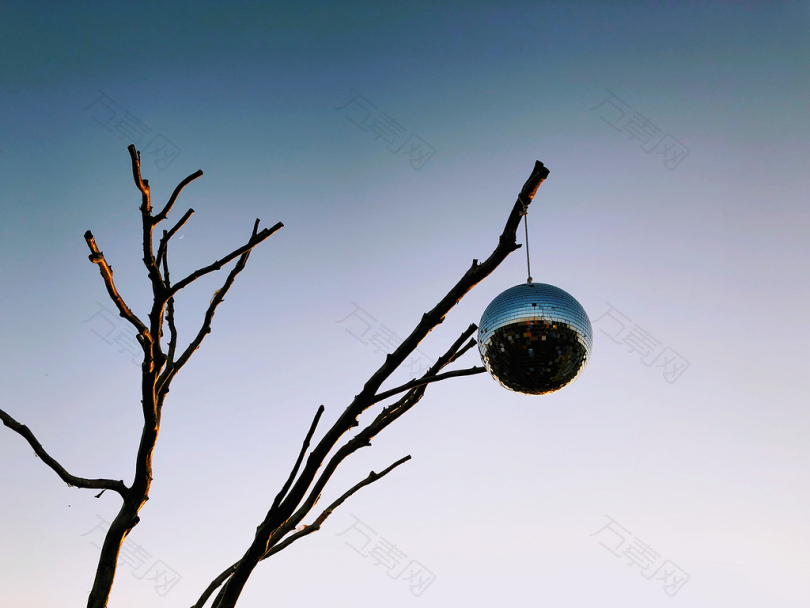 挂在枯树上的银镜球
