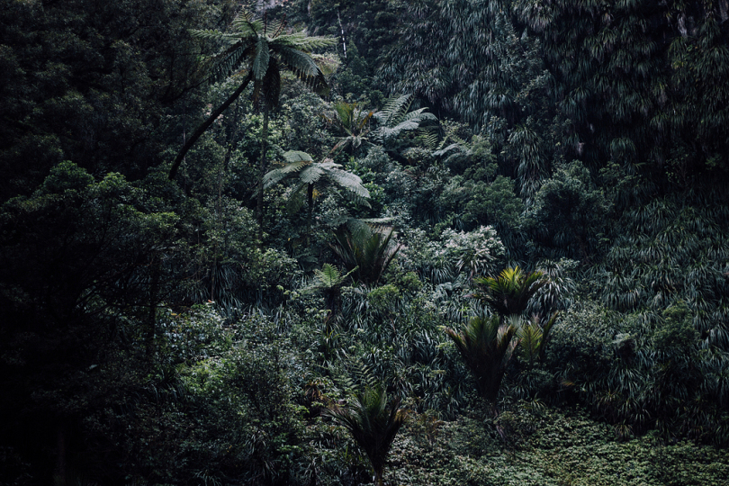 雨林航空摄影